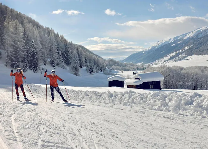 Stachelbeere Og * Fiesch